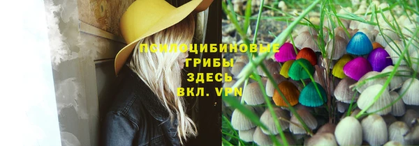 прущая мука Заводоуковск